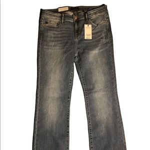 Judy Blue Bootcut
